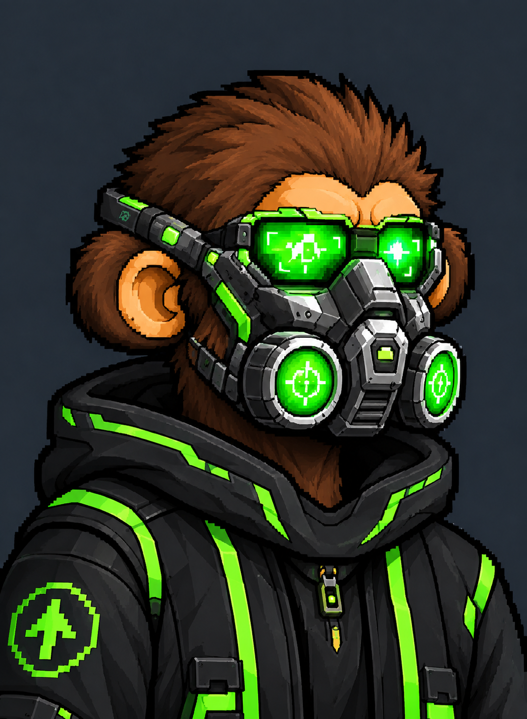 Ape 13
